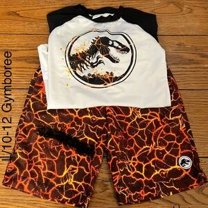 Boys 2 Piece Gymboree Swim Set Size L/10-12 (B1L6)